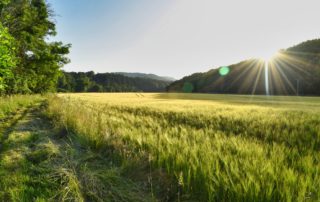 Why You Should Visit the Scottish Borders This Year